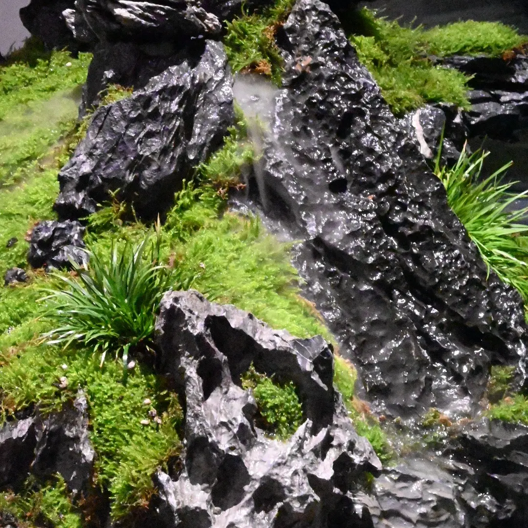 雾气从苔藓下渗出，贴着石头缓缓散开